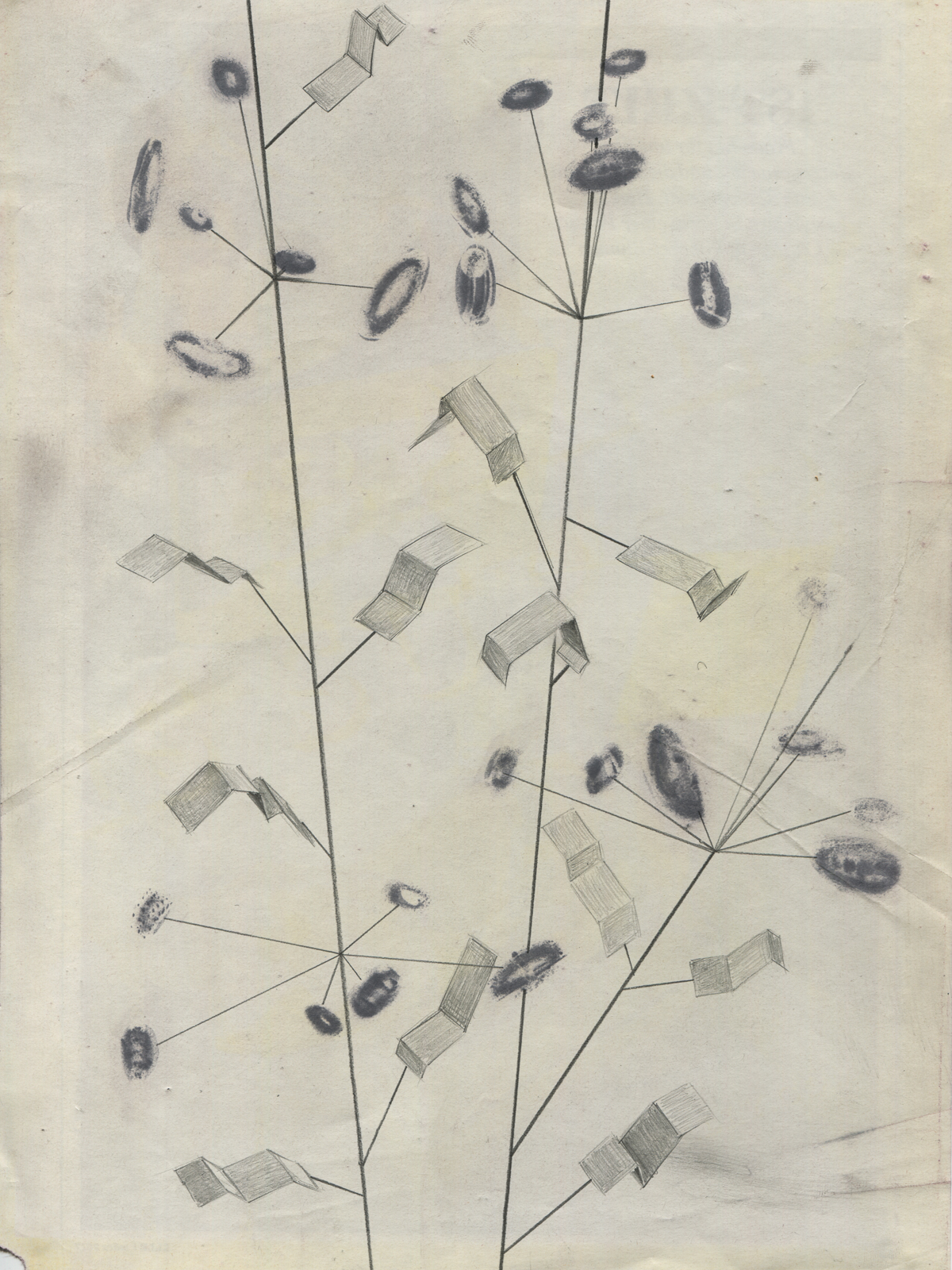 Taxonomy #02, 2017, 19.7 x 27.4 cm, lavenderoil, pencil, feltpen on magazine page