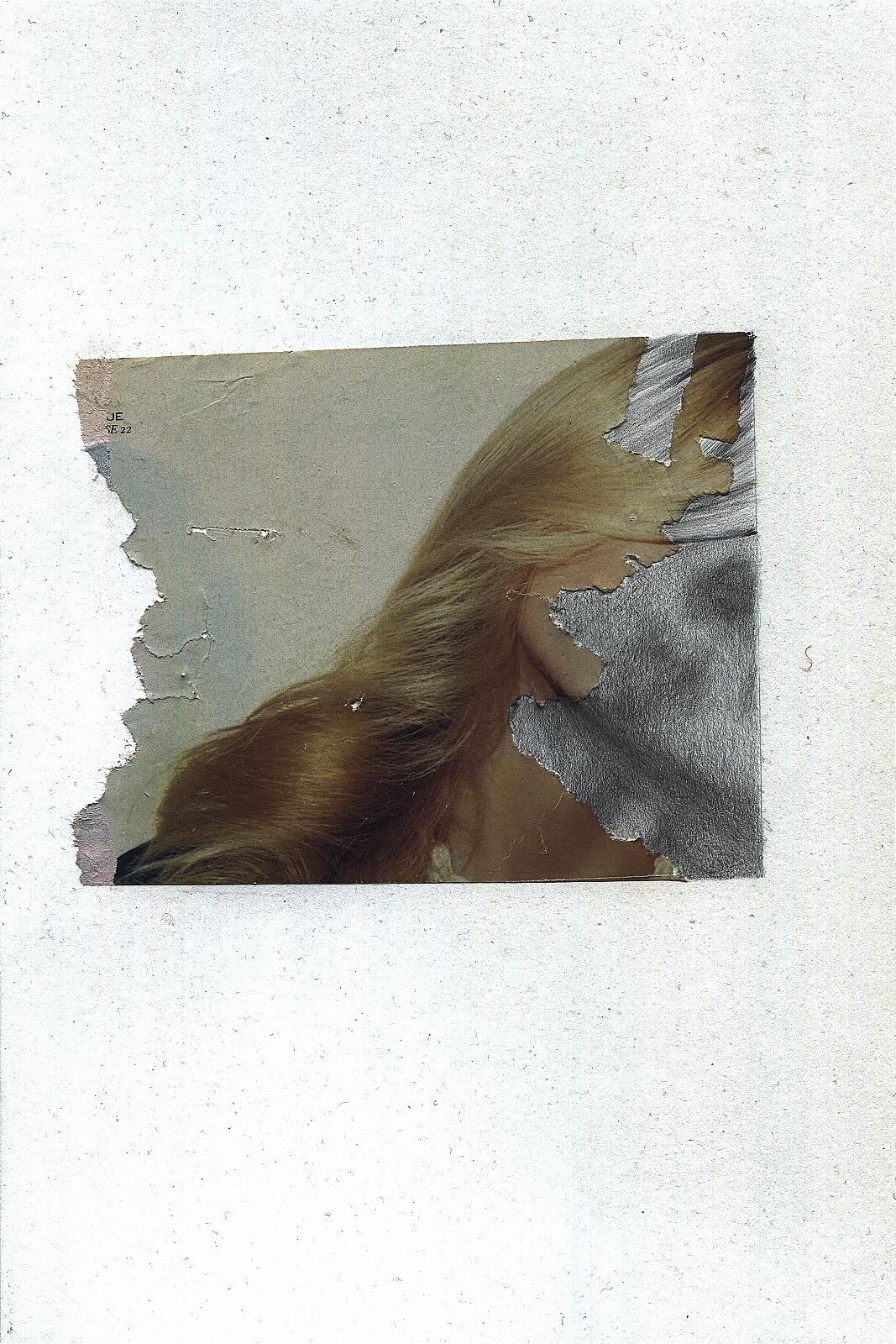 "Beast", 2013, pencil, collage, 16.5 x 24 cm