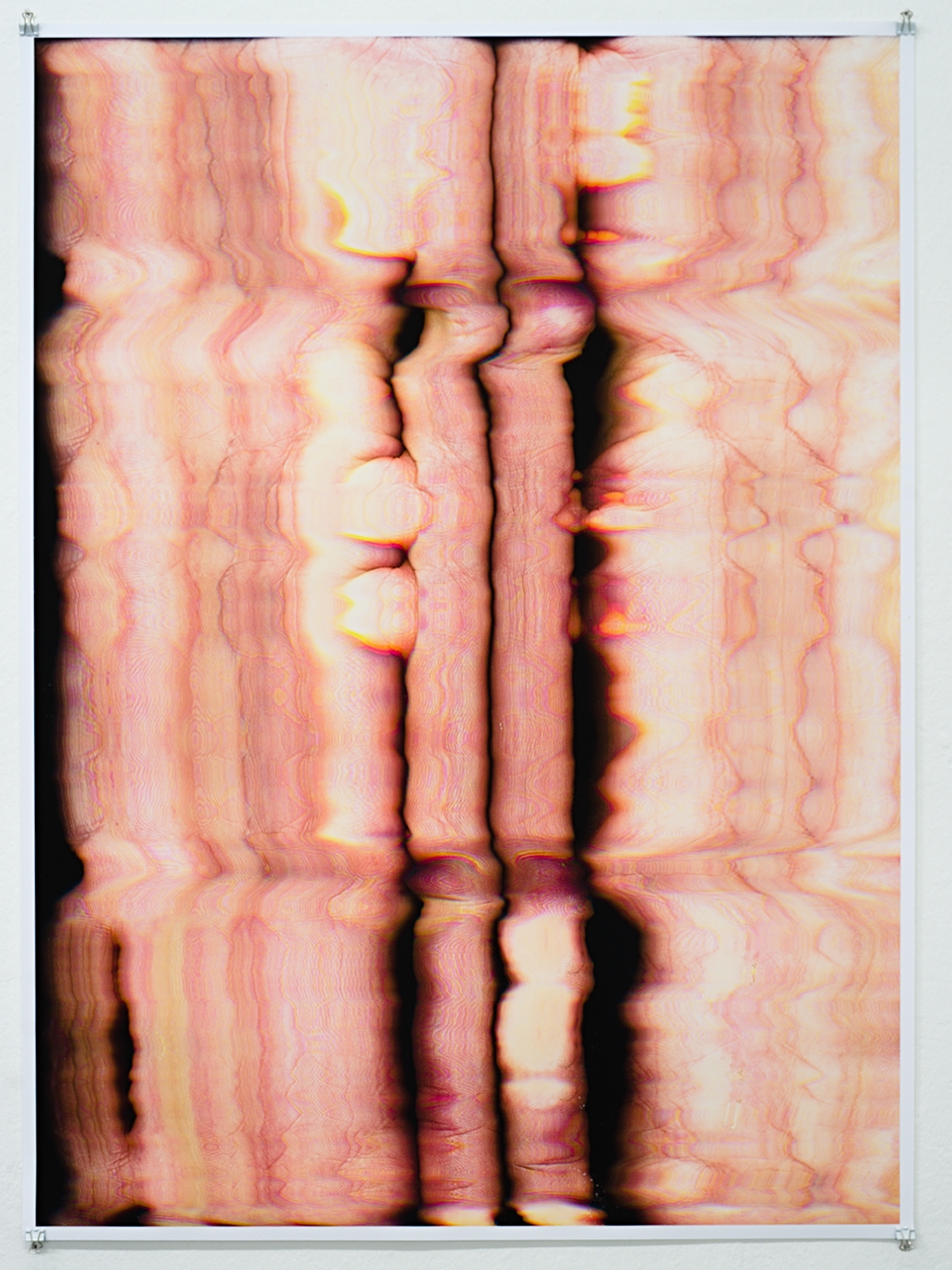"Pure flesh", 2021, scanner image, c-print on 220gr  Litho Matt Fine Art Paper, 70 x 95 cm