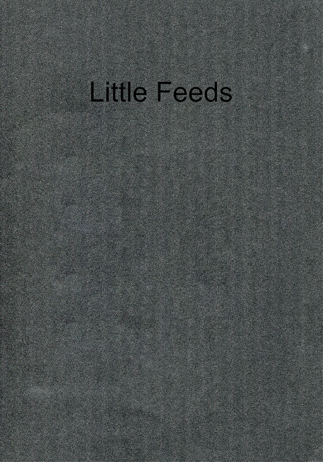 Little Feeds Book | 2014