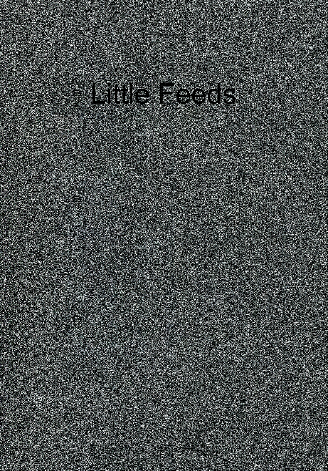 Little Feeds Book | 2014