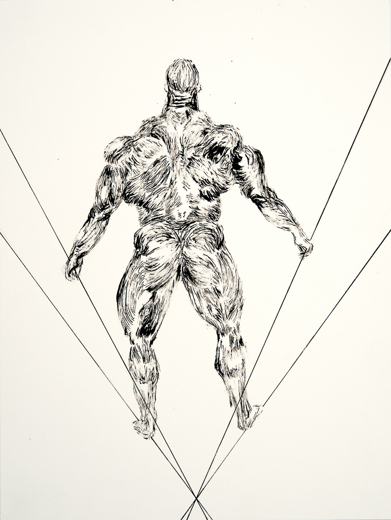 "Muscles on wire", 2013, ink, 24 x 33 cm